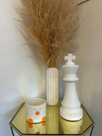 Duck Plant Pot