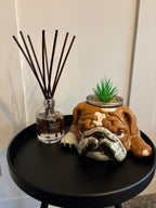 British Bulldog Plant Pot
