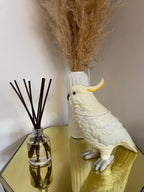 White Cockatoo Ceramic Vase or Storage Pot