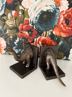 Dinosaur, Cast Iron Book ends