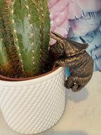 Triceratops Pot Buddies Pot Hanger