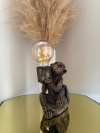 Monkey in Awe Lamp
