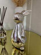 Silver Rabbit