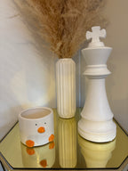 Duck Plant Pot