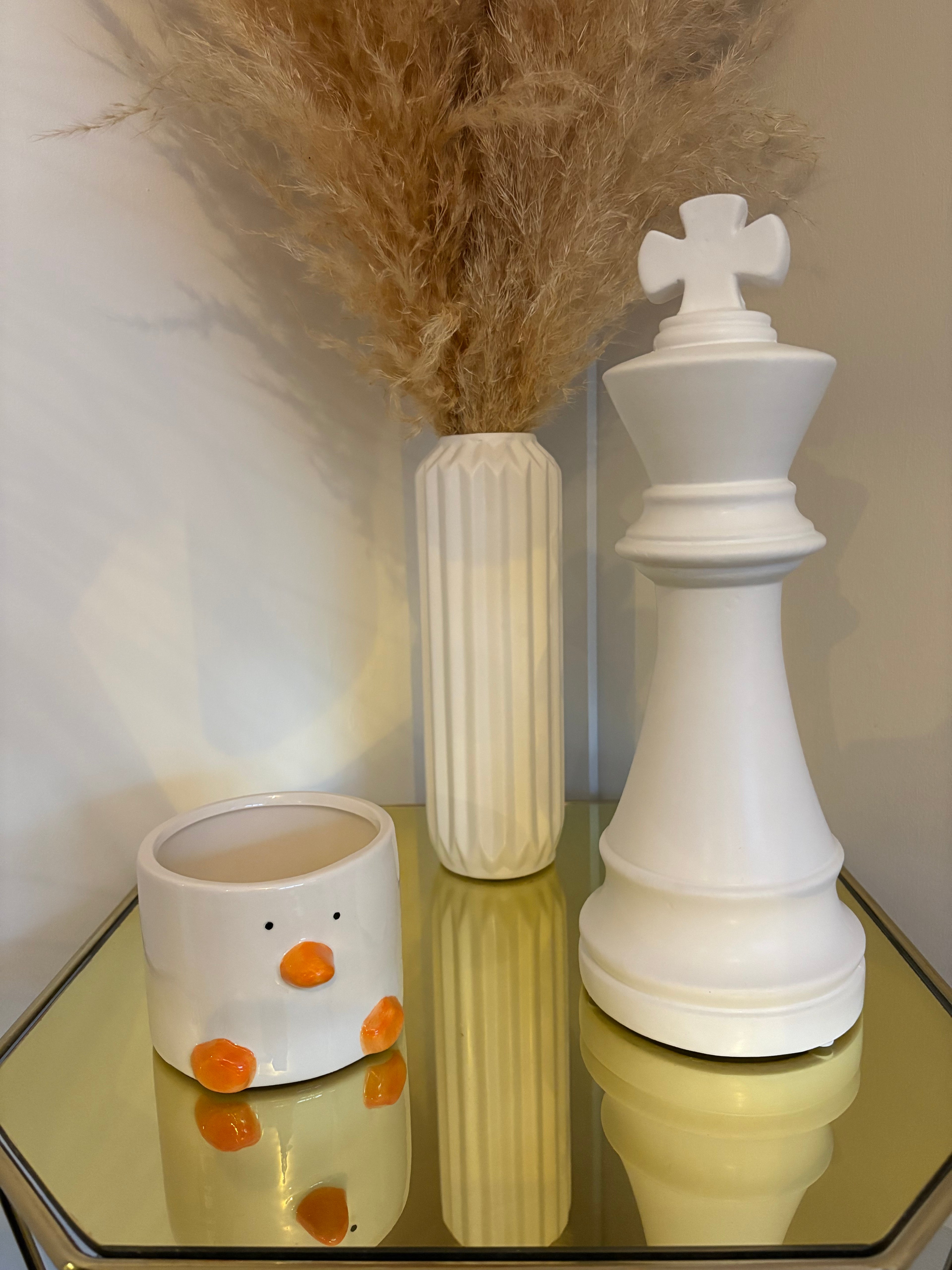 Duck Plant Pot