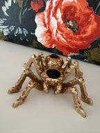 Golden Spider