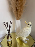 White Cockatoo Ceramic Vase or Storage Pot