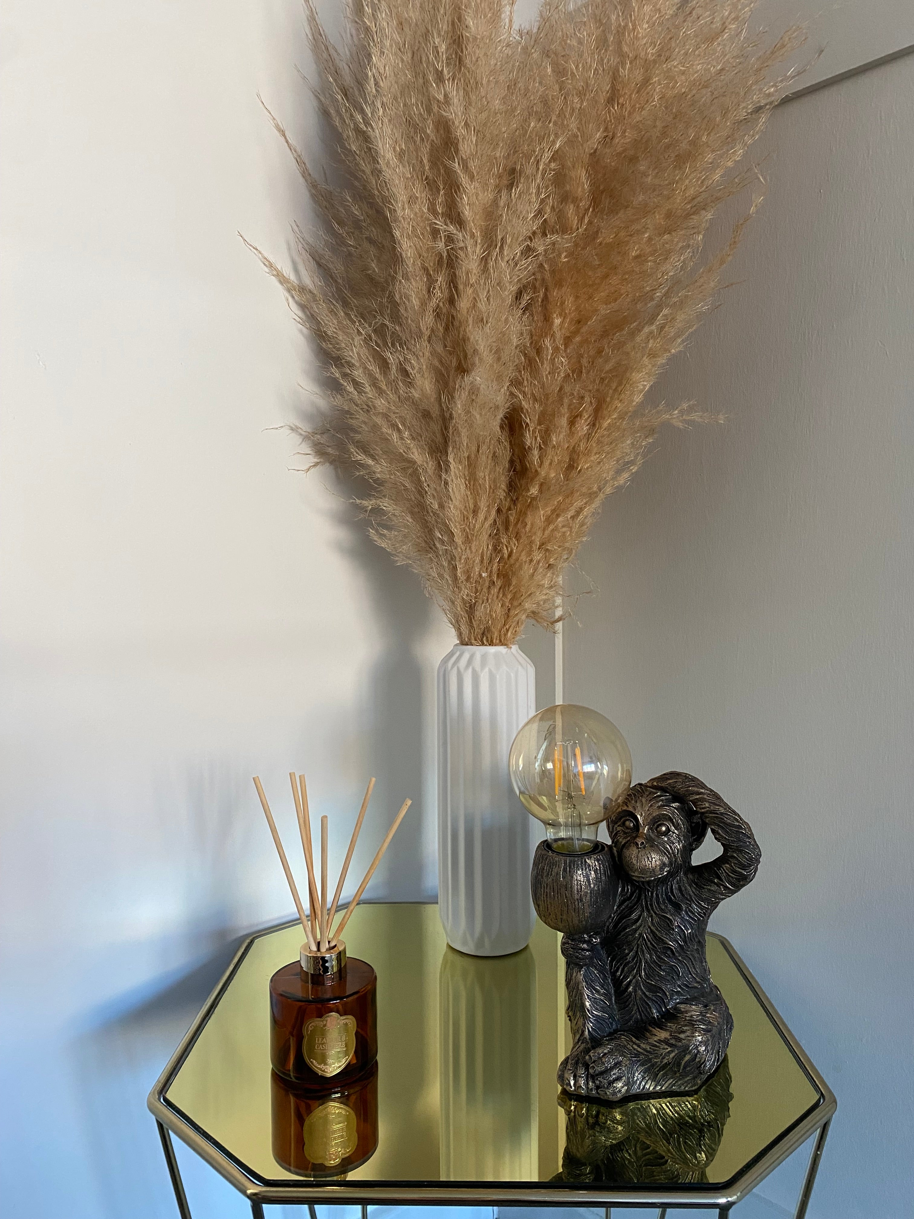 Curious Monkey Lamp