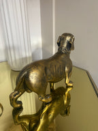 Gold Sausage Dog Dachshund