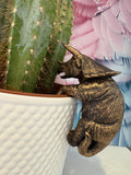 Triceratops Pot Buddies Pot Hanger
