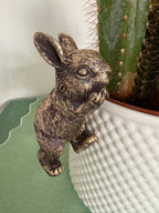 Pair of Bunny Pot Hangers