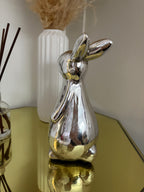 Silver Rabbit