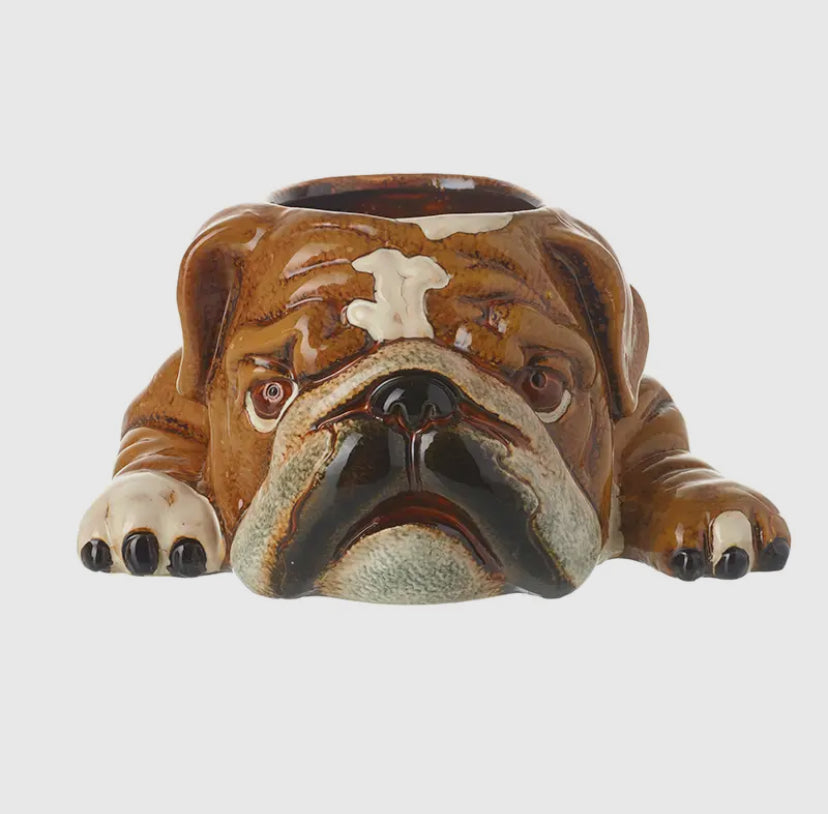 British Bulldog Plant Pot