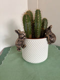 Pair of Bunny Pot Hangers