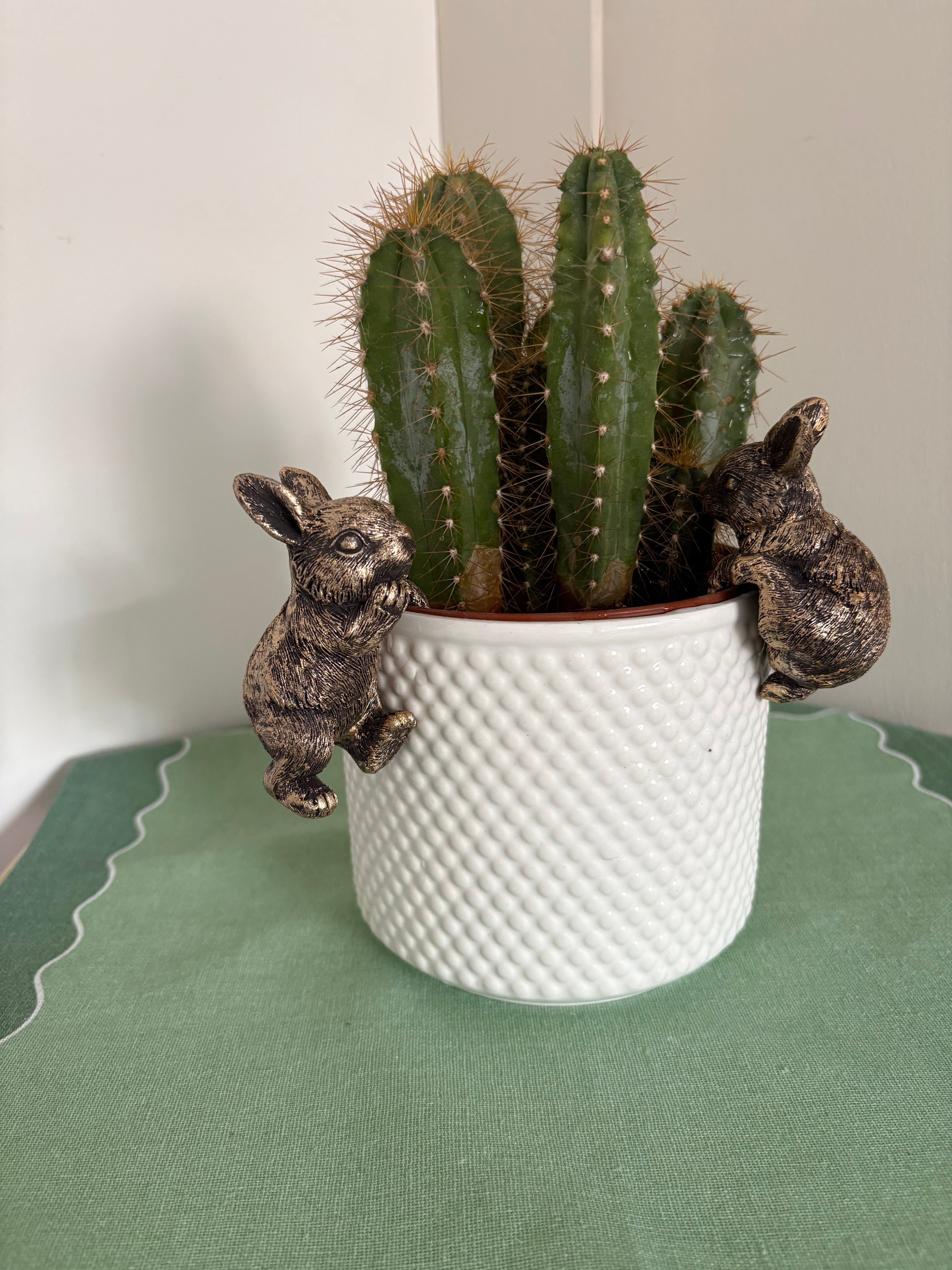 Pair of Bunny Pot Hangers