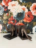 Dinosaur, Cast Iron Book ends