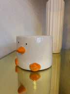 Duck Plant Pot