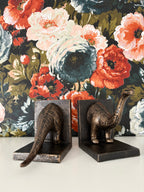 Dinosaur, Cast Iron Book ends
