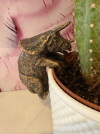 Triceratops Pot Buddies Pot Hanger