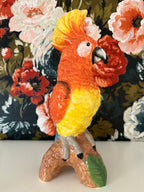 Orange Parrot on a Perch Vase