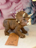 Triceratops Plant Pot