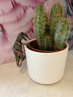 T-Rex Pot Buddies Pot Hanger