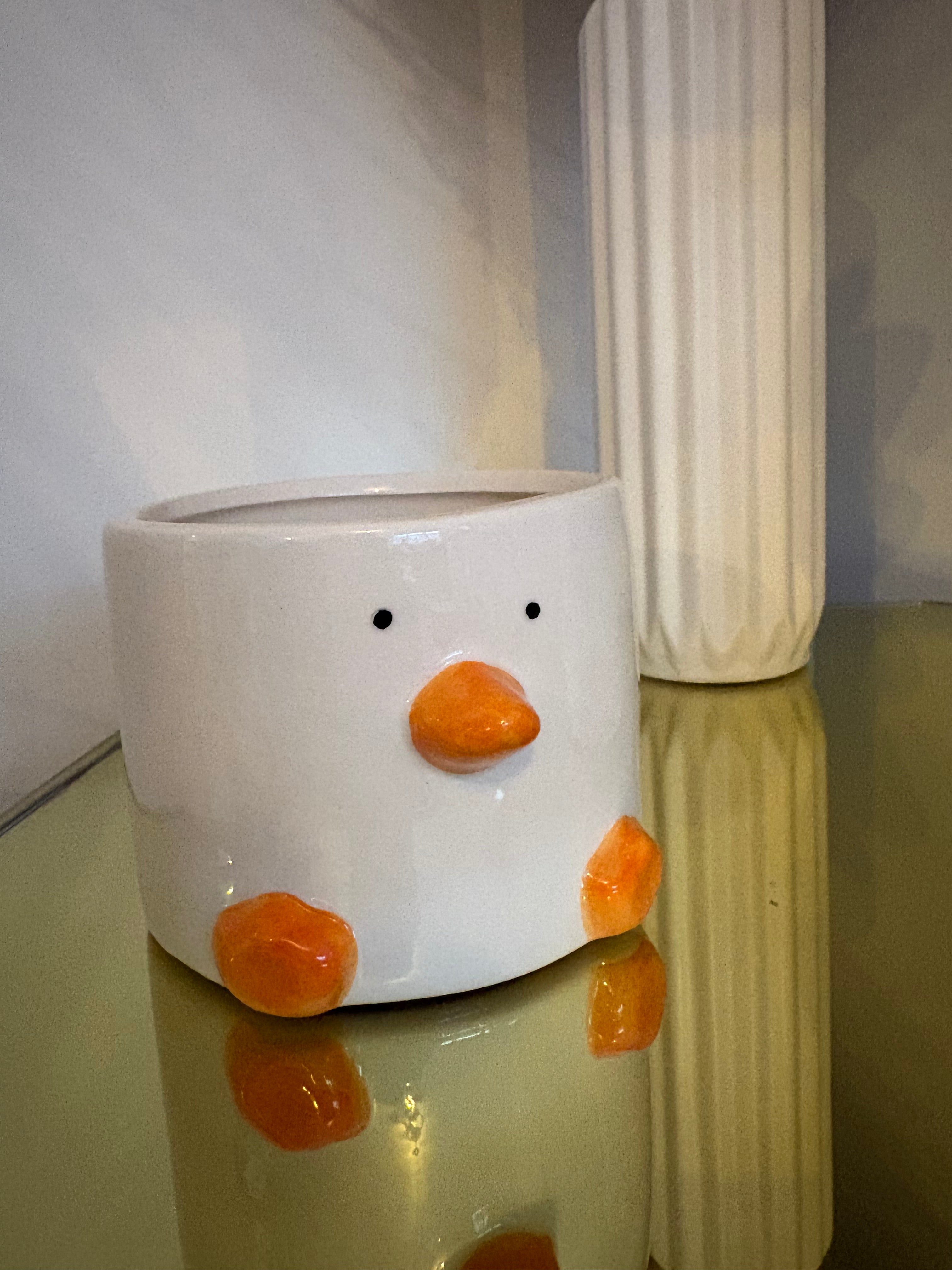 Duck Plant Pot