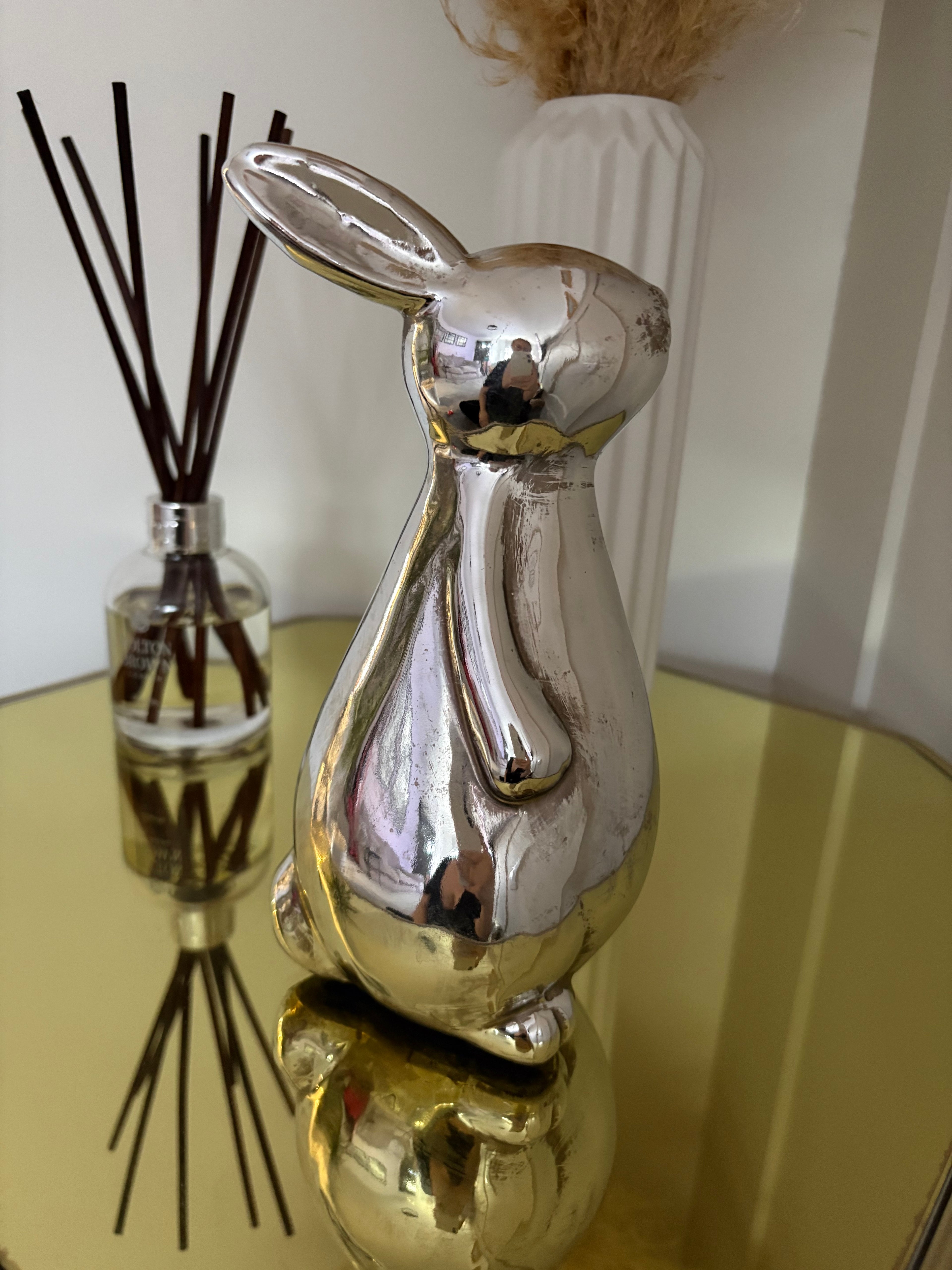 Silver Rabbit