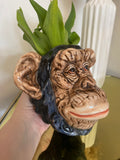 Chimp Wall Sconce Vase