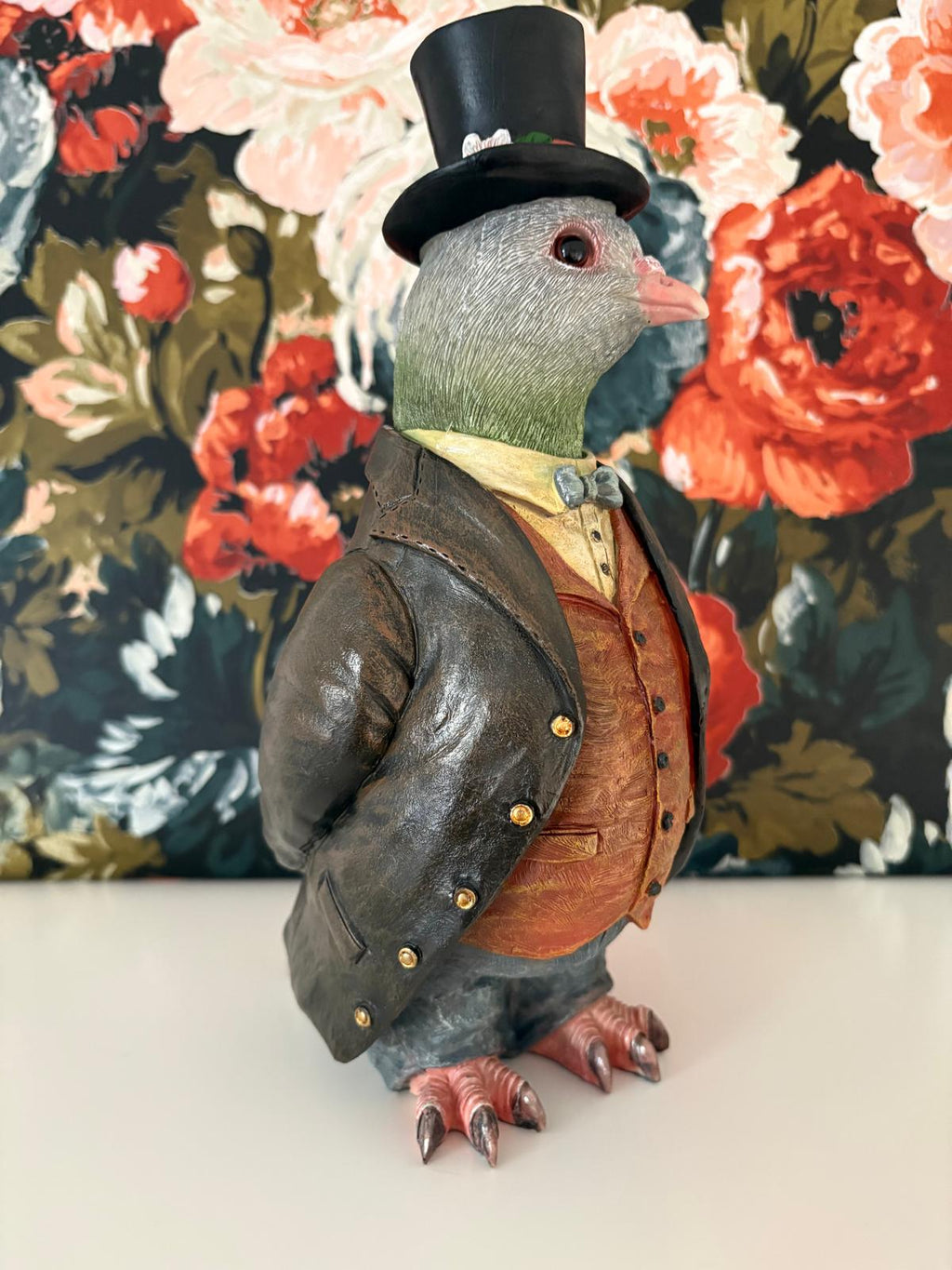 Gentleman Pigeon