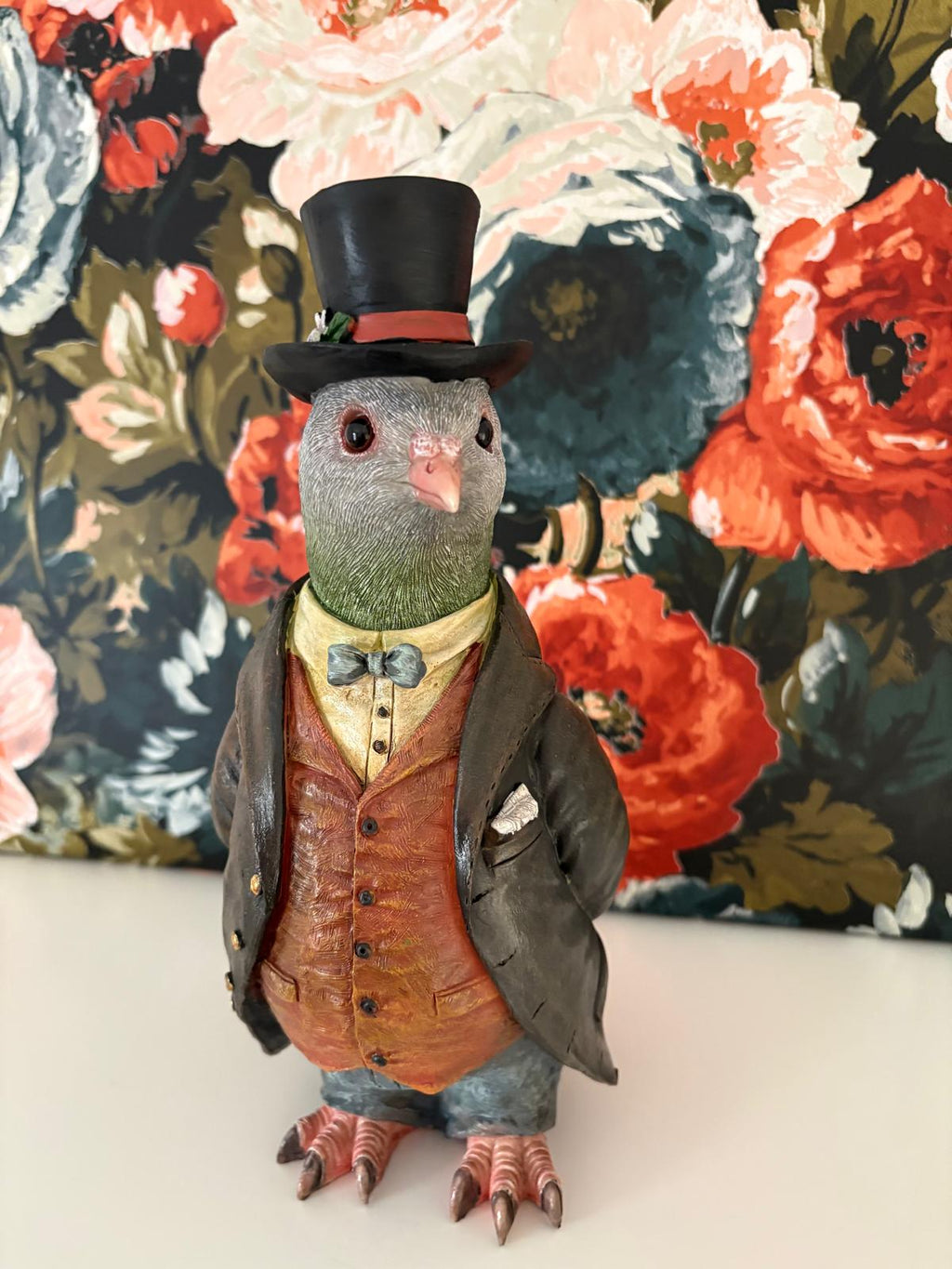 Gentleman Pigeon