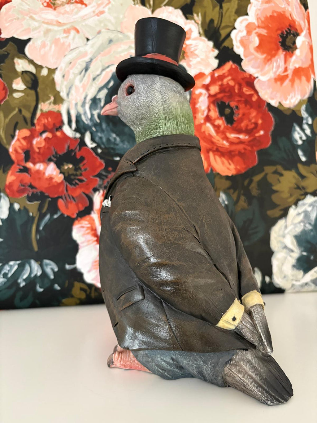 Gentleman Pigeon